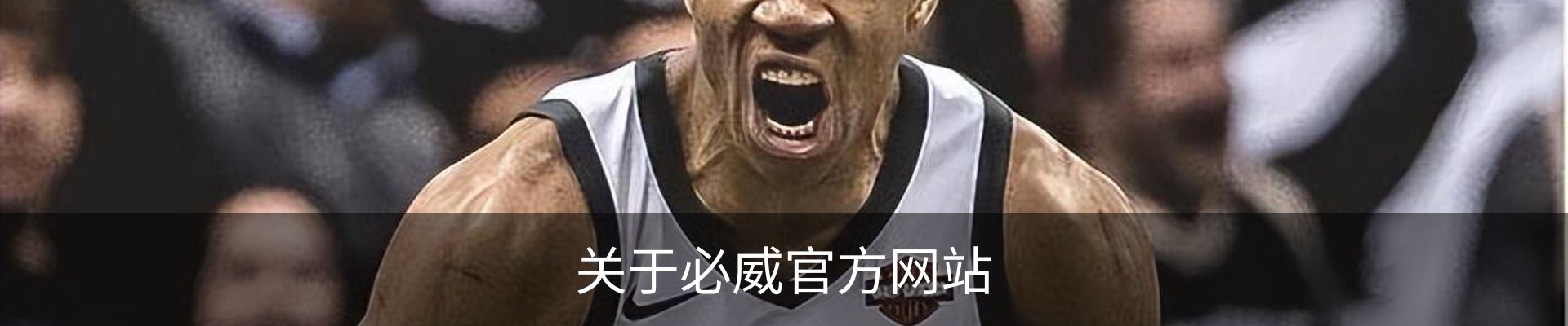关于必威官方网站