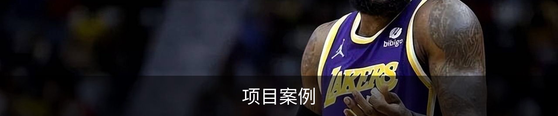 项目案例